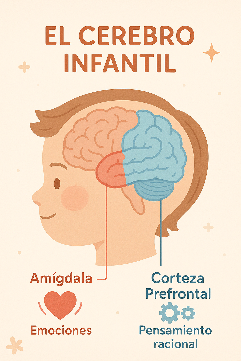 Cerebro Infantil